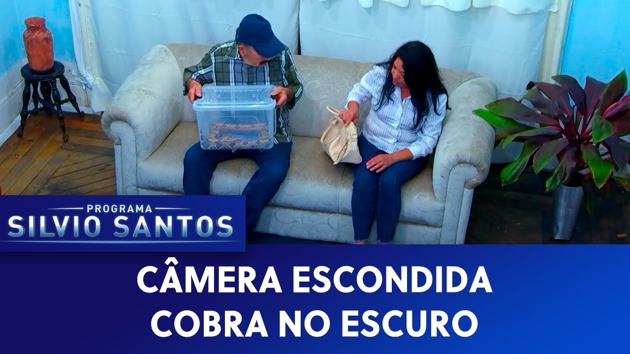 Cobra no escuro