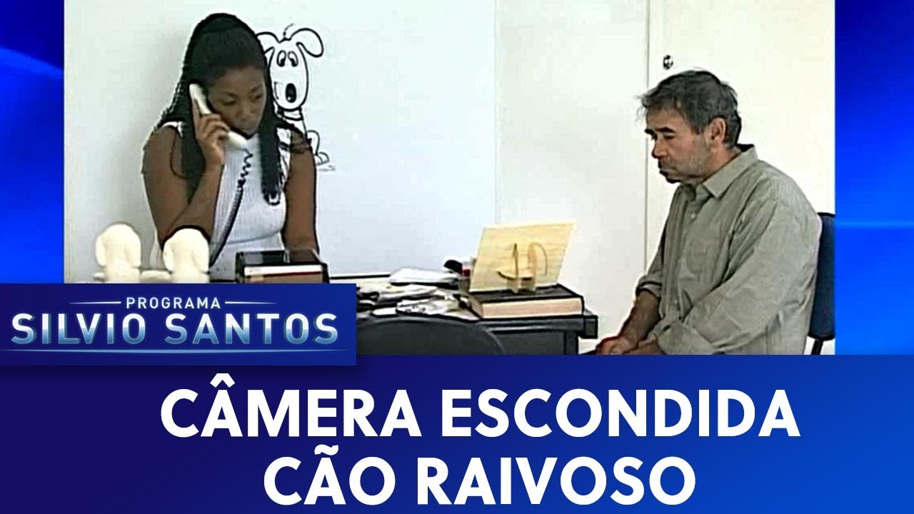 O cão raivoso
