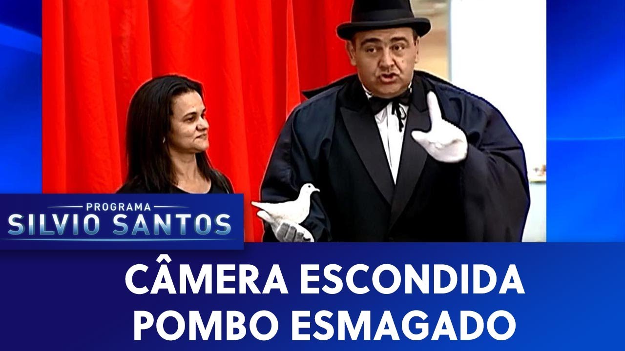 Pombo esmagado