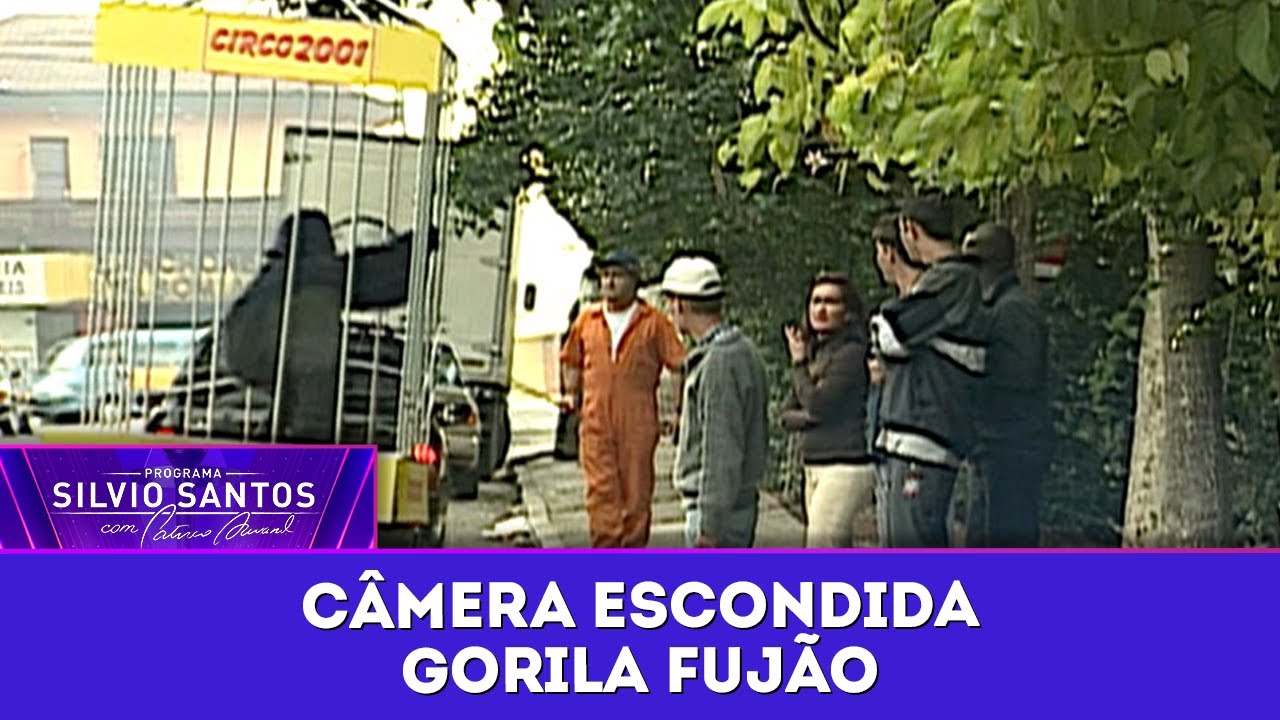 Gorila Fujão